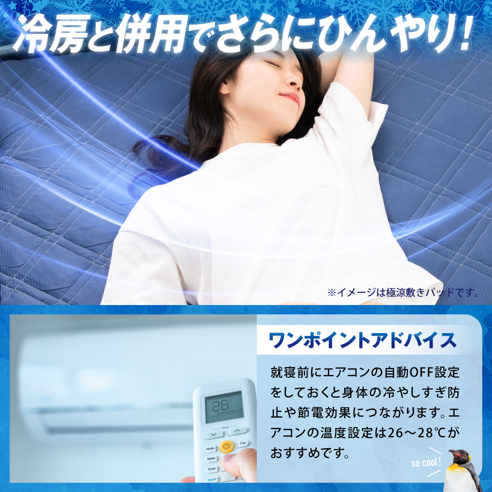 極涼枕パッド2021