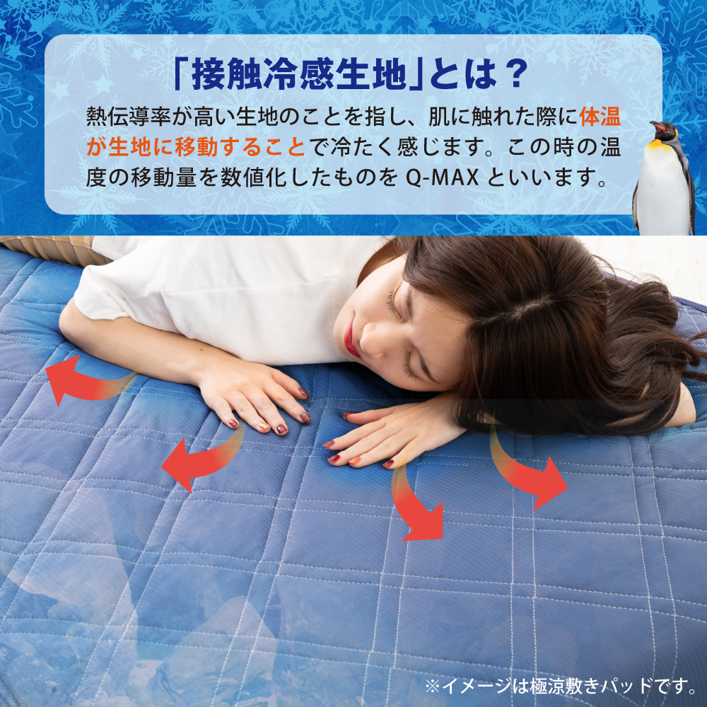 冷感 枕パッド 接触冷感 極涼 QMAX0.5 ひんやり 極涼枕パッド 枕 枕カバー 涼感パッド 冷却 夏用 暑さ対策 速乾 丸洗い 寝具